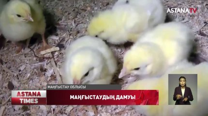 Маңғыстау облысына 11 млрд теңгенің инвестициясы тартылады