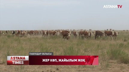 Павлодар облысында малшылар әкімдіктен жайылым жер ала алмай жүр