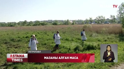 Қызылжарда шыбын-шіркейді дәрілеуге бөлінген қаржы жаз басталмай жатып бітіп қалған