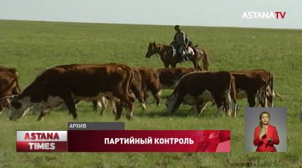 В Казахстане дефицит пастбищ, - комитет партконтроля «Nur Otan» дал ряд рекомендаций Минсельхозу