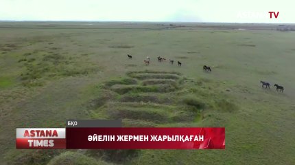 Бірнеше шенеунік әйелдерінің шаруа қожалығына жер телімін алып берген