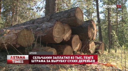 Сельчанин заплатил 83 тыс. тенге штрафа за вырубку сухих деревьев