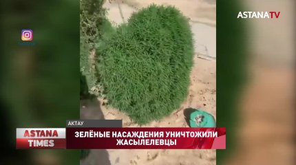 Зелёные насаждения уничтожили жасылелевцы