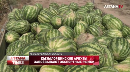 Кызылординские арбузы завоёвывают экспортные рынки