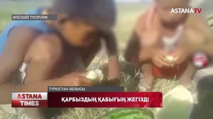Балаларға қарбыздың қабығын жегізген саудагер ұсталды