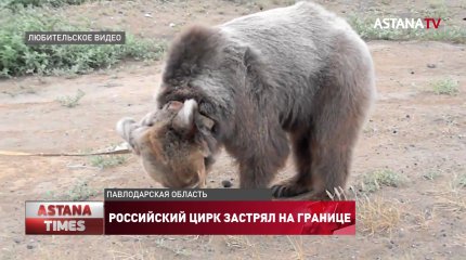 Российский цирк застрял на границе