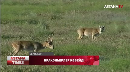 Елде табиғат тыныштығын бұзатындар көбейген