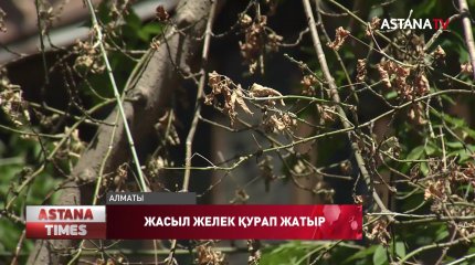 Алматыға биыл күз ерте түсті