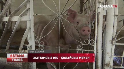 Қостанайдың іргесіндегі шағын аудан доңыз иісіне тұншықты
