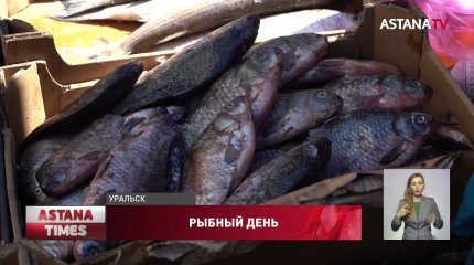 Рыба исчезла в регионах, но министр не унывает