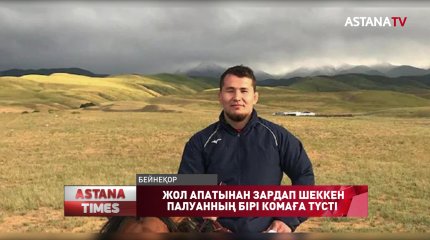 Жамбыл облысындағы жол апатынан зардап шеккен палуандардың комаға түсті