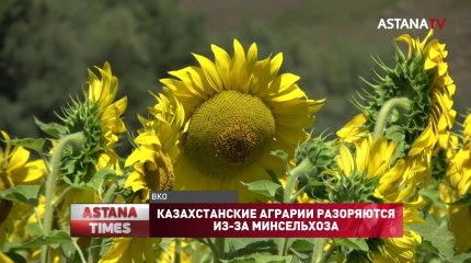 Казахстанские аграрии разоряются из-за Минсельхоза
