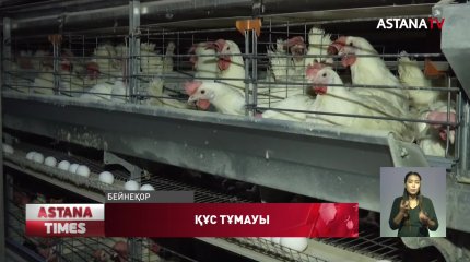 Қызылжарлық құс фабрикалары қатаң карантинге жабылды