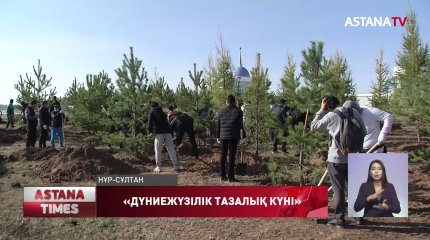 Елордада бір күнде екі мыңнан астам ағаш отырғызылды