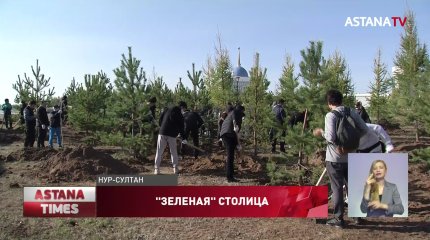 Больше двух тысяч деревьев посадили в столице за выходные