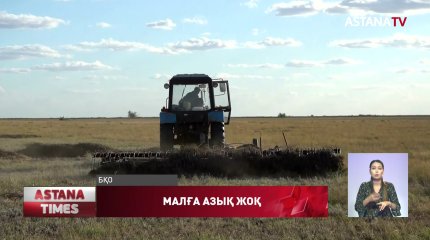 Қуаңшылықтың кесірінен Батыс Қазақстанда мал азығы тапшы