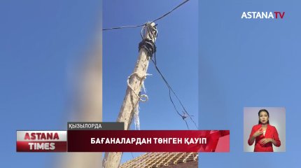 Қызылордаға қарайтын ауылда электр сымдары ағаш басына ілініп тұр