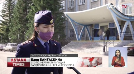 Солтүстікте күре жолдан өткен үйір жылқыны, көлік қағып кетті