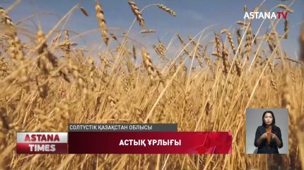 Солтүстік Қазақстан облысында астық ұрлайтындар көбейген