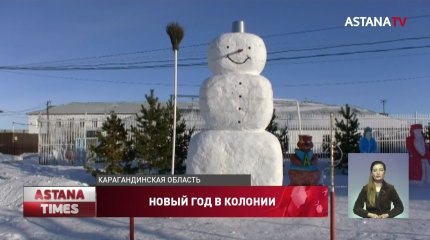 Флешмобом и конкурсом ледяных фигур осуждённые встречают Новый год
