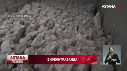 К 10 годам тюрьмы приговорили казахстанцев и китайцев за продажу ценных рачков