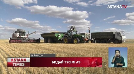Биыл қамбаға түсетін бидай көлемі едәуір аз болуы мүмкін