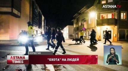 Мужчина убил из лука пять человек в Норвегии