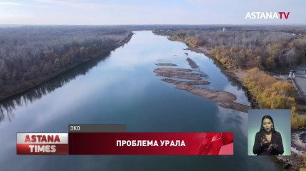 Обмеление Урала приведет к массовой гибели рыбы и дефициту воды, -экологи