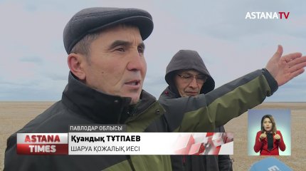 Павлодарда жайылым жерінен айырылған  малшылар бас көтерді