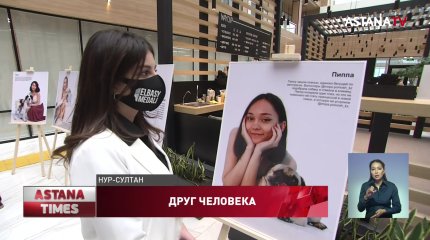 Казахстану нужен закон о защите животных, - волонтеры