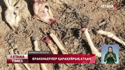 Жамбыл облысында қарақұйрық атқан броконьерлер ұсталды