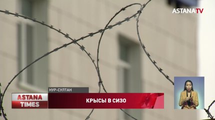 Крысы, мыши и лягушки атаковали СИЗО в Нур-Султане