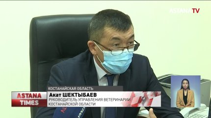 Два работника заразились сибирской язвой в Костанайской области