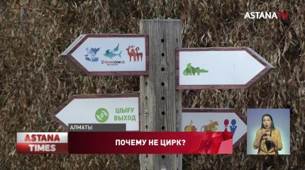 Из-за ошибки в госзакупках павлодарский акимат чуть не купил машины зоопарку Алматы