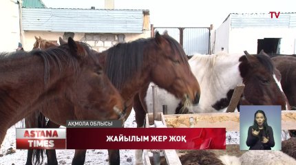 Елорда маңындағы елді-мекендердің тұрғындары мал бағатын жер таппай жүр