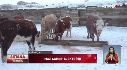 Атыраулық тұрғындар үйде ұстайтын мал санына шектеу қойылмасын,- дейді