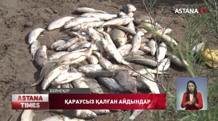 Атыраулық балық қорғаушылар су айдындарын тереңдетуді талап етіп отыр