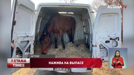 Группа скотокрадов два месяца наводила ужас на сельчан Актюбинской области