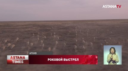 Инспектор погиб во время охоты в Бударинском заказнике ЗКО
