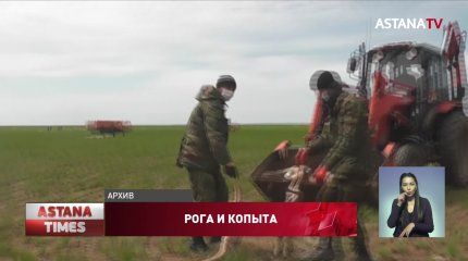 За продажу рогов сайги сотрудник резервата «Алтын дала» получил семь лет тюрьмы