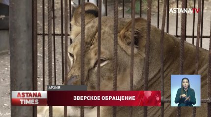 Наказать циркачей за издевательства над животными в Павлодаре не смогли из-за моратория