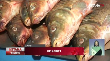 Вдвое сократилось производство рыбы в Казахстане
