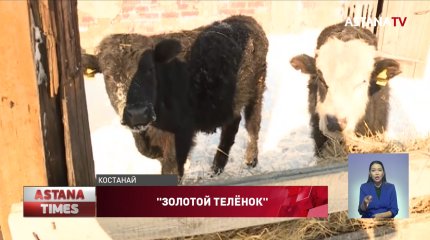 Костанаец обманул фермеров на 38 миллионов тенге