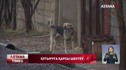 Шымкенттегі көшелердің біріне шектеу қойылды