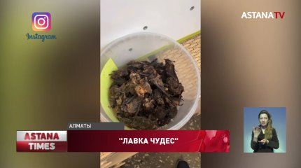 Оружие против вампира и сушёные летучие мыши: необычные товары нашли на базаре в Алматы
