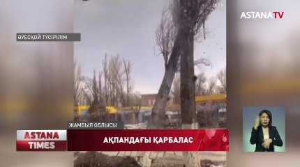 Қатты желден оңтүстікте ағаштар құлады, солтүстікте жолдар жабылды