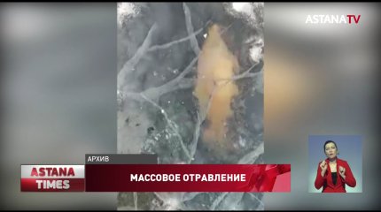 Причину массовой гибели рыбы назвали в Актюбинской области