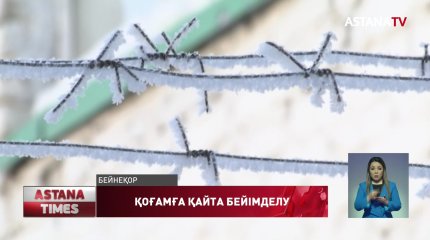 Елде бір апта ішінде 3 мыңнан астам қылмыс дерегі тіркелген