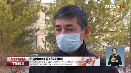 Массовая гибель рыбы произошла в Актюбинской области