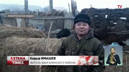 Фермеры массово режут скот из-за нехватки кормов в Западном Казахстане